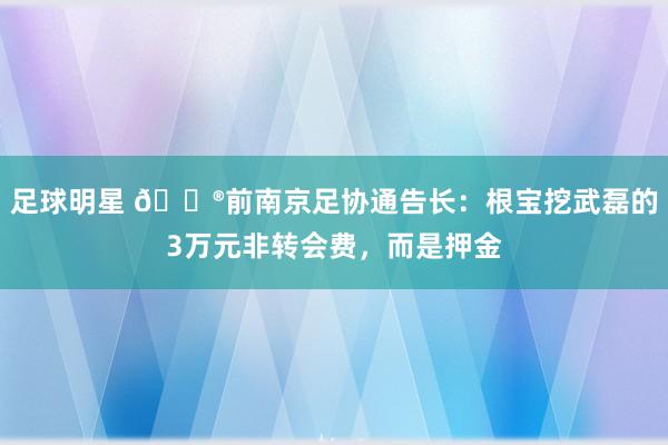 足球明星 😮前南京足协通告长：根宝挖武磊的3万元非转会费，而是押金