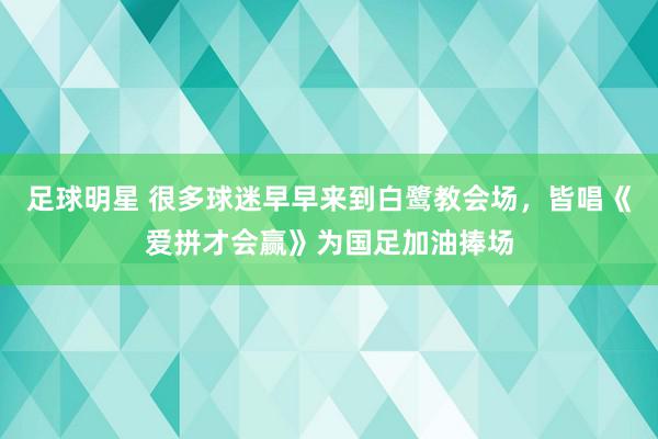 足球明星 很多球迷早早来到白鹭教会场，皆唱《爱拼才会赢》为国足加油捧场