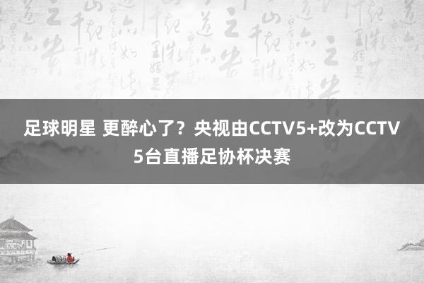 足球明星 更醉心了？央视由CCTV5+改为CCTV5台直播足协杯决赛