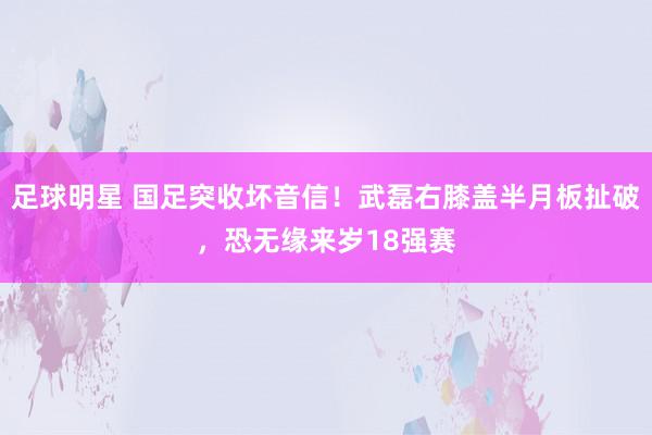 足球明星 国足突收坏音信！武磊右膝盖半月板扯破，恐无缘来岁18强赛