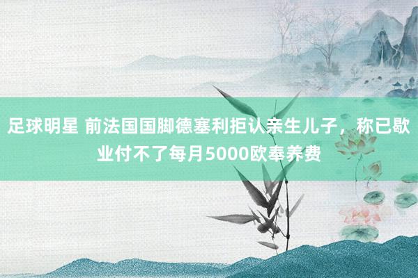 足球明星 前法国国脚德塞利拒认亲生儿子，称已歇业付不了每月5000欧奉养费