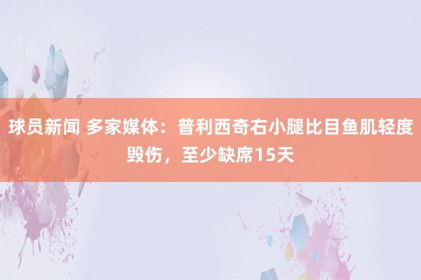 球员新闻 多家媒体：普利西奇右小腿比目鱼肌轻度毁伤，至少缺席15天